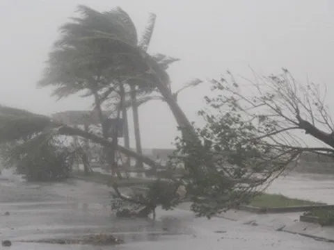 Cơn bão sắp đổ bộ vào đất liền nước ta có cường độ rất mạnh, gây mưa to đến rất to