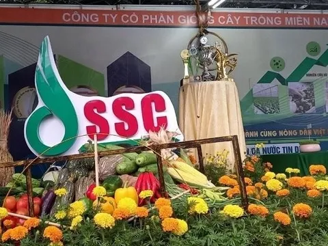 Tòa án TP.HCM tuyên bố phá sản công ty con của một công ty trên sàn chứng khoán