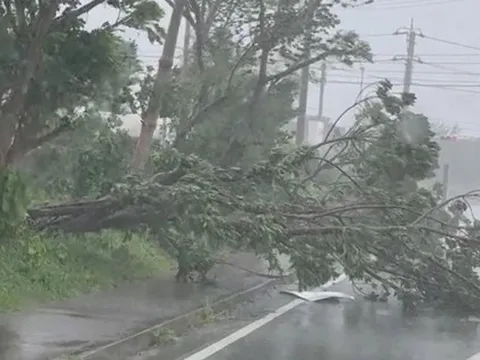 Bão số 13 có thể giật cấp 17 hoặc hơn nữa sẽ đổ bộ trực tiếp vào những tỉnh, thành nào?