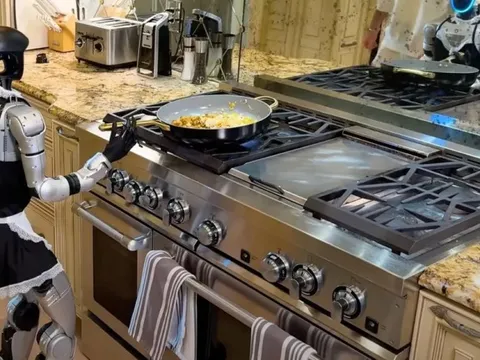 Thử thách robot AI hình người rán trứng trong bếp: Cái kết khiến mạng xã hội "nổ tung" bình luận