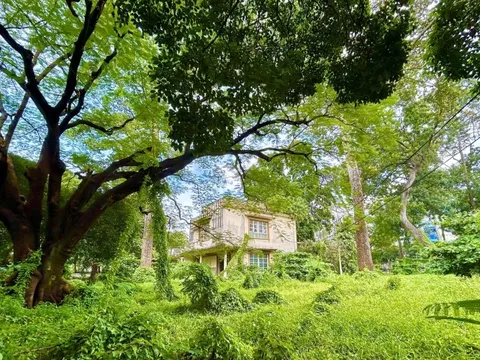 Mở rộng đường Trần Bình Trọng qua khu đất số 1 Lý Thái Tổ