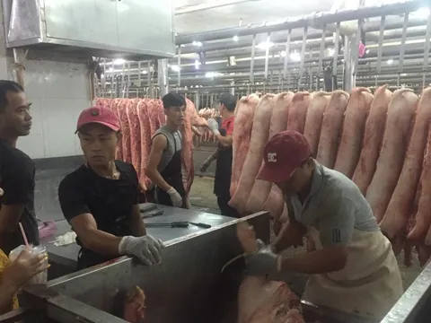 Giá heo hơi hôm nay, 6-11: Diễn biến lạ tại chợ đầu mối