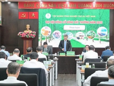 VRG chuẩn bị 1.600 tỉ đồng chia cổ tức