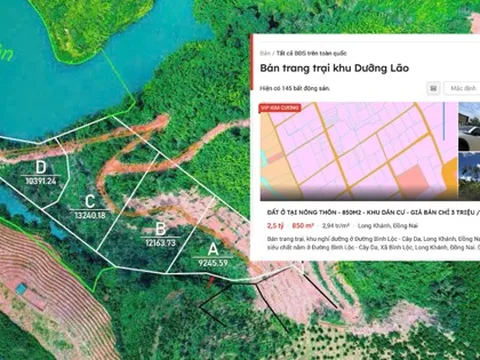 Rục rịch săn đất làm khu dưỡng lão