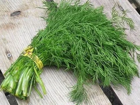 Loại rau thơm phức bán đầy chợ, là dược liệu quý với tim