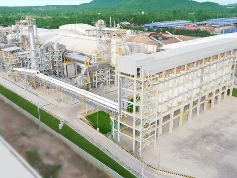 Doanh nghiệp nào thực hiện dự án Nhà máy sản xuất viên nén gỗ hơn 315 tỷ đồng tại Đắk Lắk?