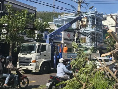 Hơn 1,6 triệu khách hàng miền Trung mất điện do bão Kalmaegi, chạy đua khắc phục