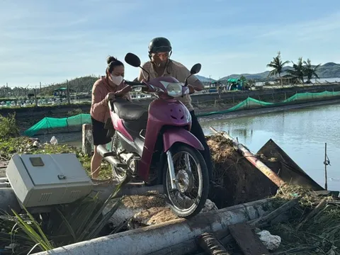 Đắk Lắk: Hàng vạn lồng bè nuôi cá, tôm bị phá hủy hoàn toàn do bão Kalmaegi