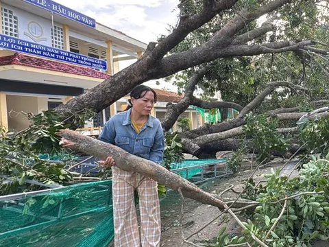 Hỗ trợ khẩn cấp 80 tỉ đồng cho Quảng Ngãi, Gia Lai, Đắk Lắk khắc phục hậu quả bão số 13