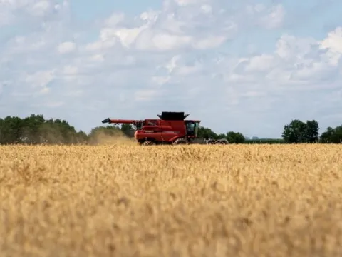 Sau 1 năm quay lưng, quốc gia BRICS nhập lại nông sản chủ chốt của Mỹ, thị trường thở phào nhẹ nhõm