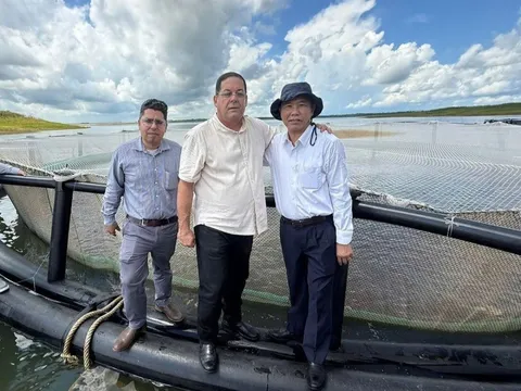 Sau hơn 10 năm, một loài cá tỷ USD của Việt Nam tạo nên kỳ tích tại Cuba: Tiềm năng rất lớn