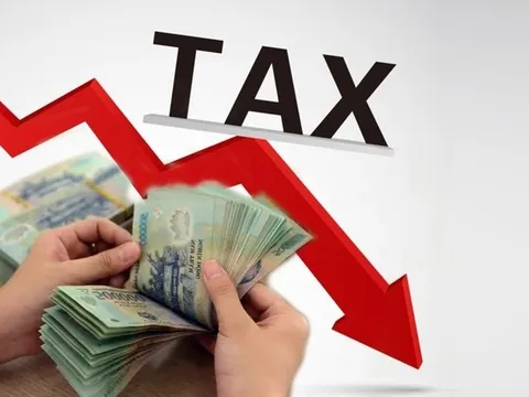 Thu nhập 100 triệu/tháng bị đánh thuế 35%: Cách tính thuế thực sự khiến nhiều người ngỡ ngàng