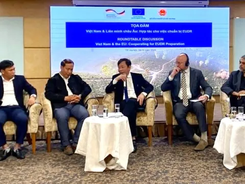 EU kiểm soát hàng nhập khẩu liên quan phá rừng