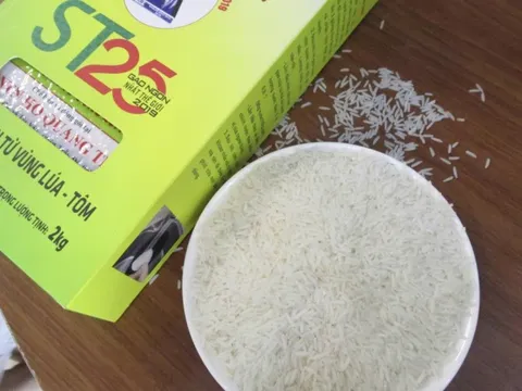 Gạo ST 25 lần thứ 3 thắng giải "gạo ngon nhất thế giới"