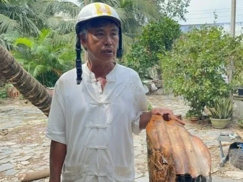 Chủ nhân 'cây dừa bị tôn bay chém đứt thân' trong bão số 13 nói gì?