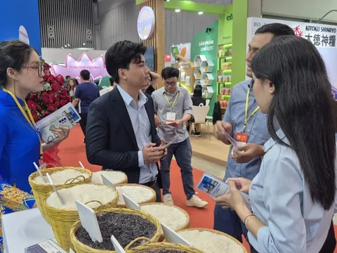 Gạo xuất khẩu Việt Nam trước thách thức mới