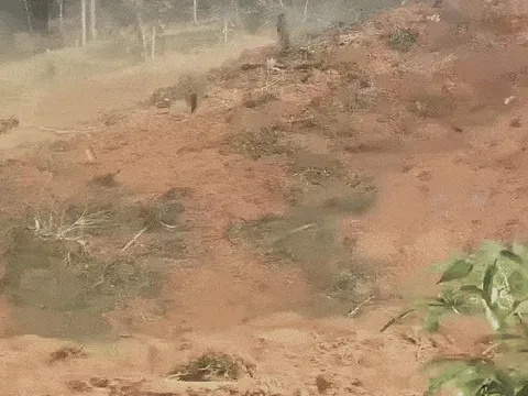 Sập quả đồi ở Đà Nẵng giữa trưa nắng, nghi vùi lấp 3 người