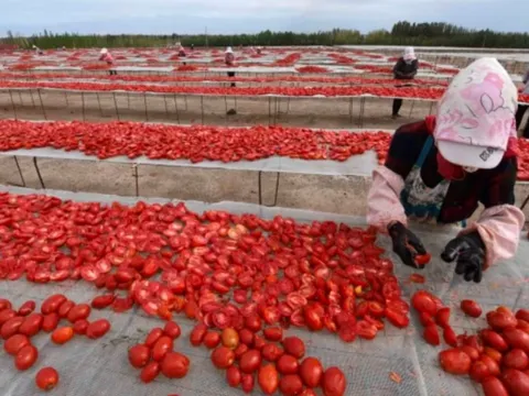 Khách quen bất ngờ 'quay xe', Trung Quốc lập tức rơi vào cảnh ế hàng nghiêm trọng: 700 nghìn tấn hàng chất đống không ai mua