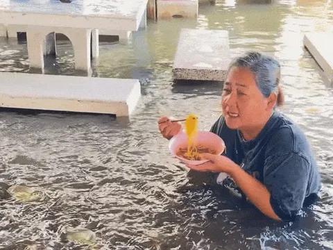 Nhà hàng Thái gây sốt vì cảnh khách vừa ăn vừa chìm trong nước lũ nâu