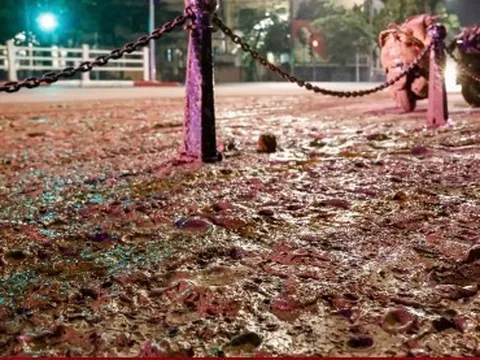 Bác tin bùn nhão tràn trên phố khiến loạt xe trượt ngã liên quan dự án metro