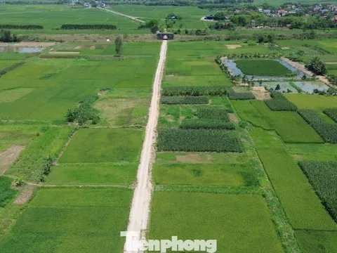 Hà Nội: Cử tri kiến nghị 'nới' quy định về tách thửa