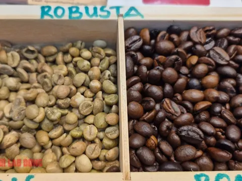 Giá cà phê hôm nay 18-11: Bật tăng dữ dội