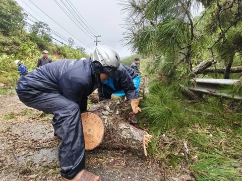 Đà Lạt bị cô lập sau khi nhiều đèo sạt lở là tin thất thiệt