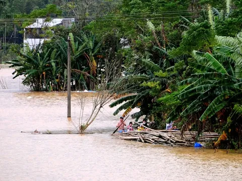 Nhiều làng ven sông Vu Gia - Thu Bồn lại mênh mông nước đợt mưa lũ mới