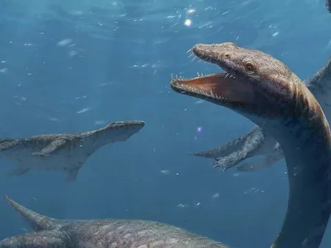 Trung Quốc: Quái vật cổ dài 42 đốt xuất hiện gần Lệ Giang cổ trấn