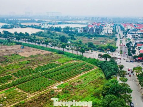 Hiện trạng khu đất làm công viên, quảng trường nhạc nước gần 100ha ở Hà Nội