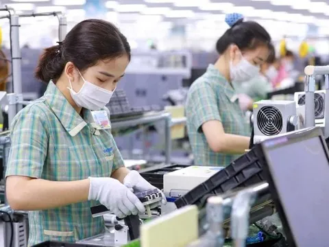 Xuất nhập khẩu vượt mốc 800 tỷ USD, cao nhất từ trước đến nay