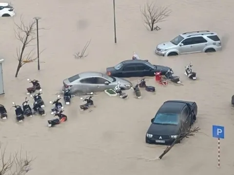 Lũ dữ bủa vây chung cư ở Quy Nhơn, xót xa nhìn ôtô ngập 'mất dạng'