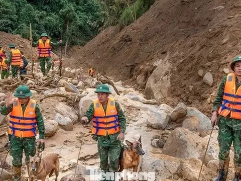 Cận cảnh những chú chó cứu hộ Làng Nủ đang tìm người mất tích ở Đà Nẵng