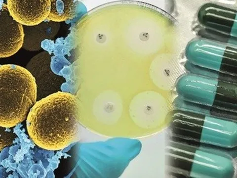 Tình trạng kháng thuốc kháng sinh ngày càng phức tạp