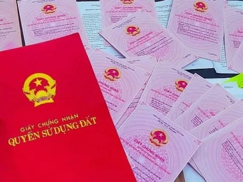 Cách nộp sổ đỏ trên VNeID để "làm sạch" dữ liệu đất đai
