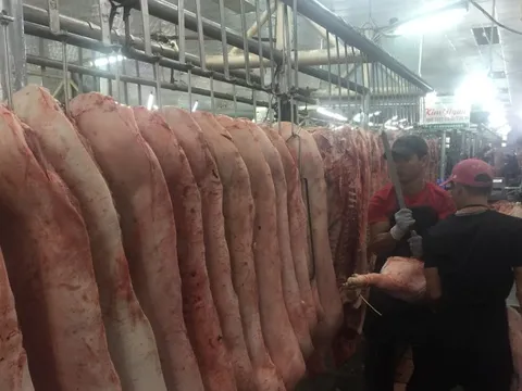 Giá heo hơi hôm nay, 24-11: Heo về chợ tiếp tục giảm, điều gì đang xảy ra?