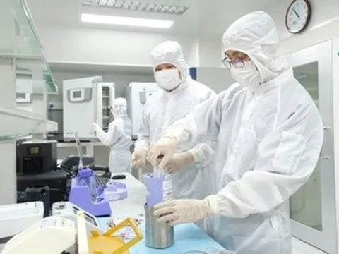 Loại tế bào "vạn năng" có tiềm năng chữa lành nhiều bệnh khó