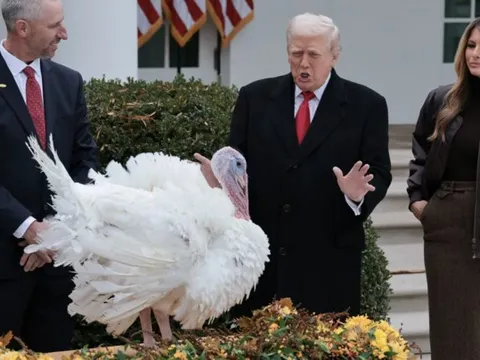 Ông Trump ân xá cho gà tây