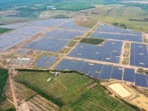 "Trùm" điện gió, điện mặt trời Thái Lan kiếm hơn 2.100 tỷ tại Việt Nam sau 9 tháng