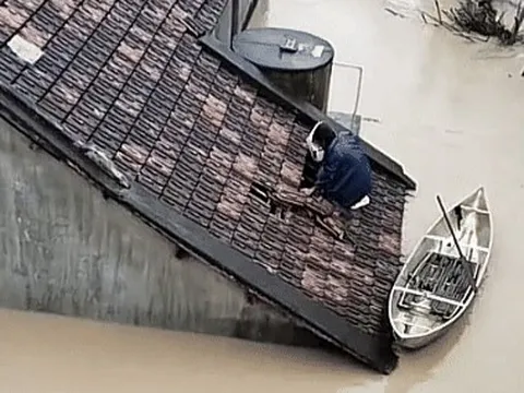 Cảnh người đàn ông phá ngói cứu gia đình mắc kẹt trong nhà ngập nước