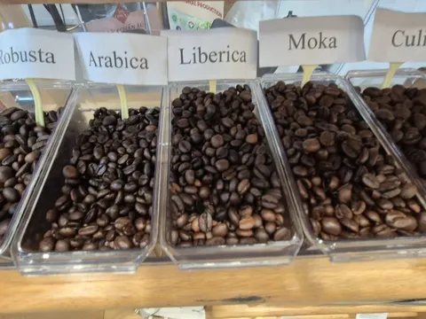 Giá cà phê hôm nay 26-11: Tăng 3 con số trở lại