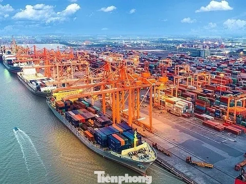 Việt Nam có tiềm năng lớn phát triển cảng xanh, thông minh