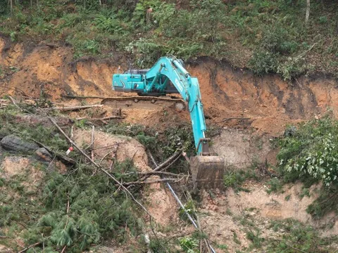 Kiến nghị xây cầu dài 107m vượt điểm sạt lở đèo Mimosa Đà Lạt