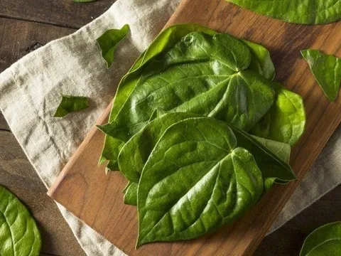 Khung giờ vàng dùng nước lá trầu giúp thải axit uric