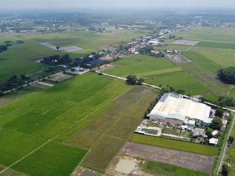 Người dân Vĩnh Long muốn xây công trình trên đất trồng lúa cần biết thông tin này