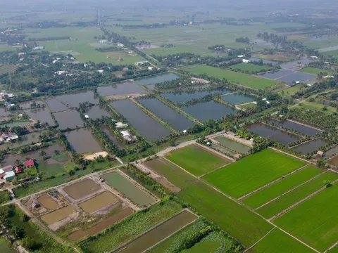 Bảng giá đất nông nghiệp TP.HCM dự kiến tăng, kéo giảm chênh lệch khi chuyển sang đất ở