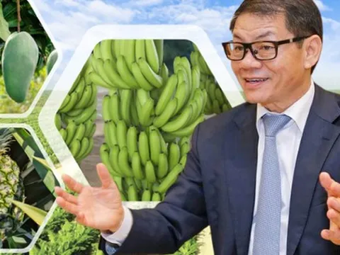 Tỷ phú Trần Bá Dương kể về thương vụ bán chuối trong 10 năm cho "ông trùm" nông nghiệp Fresh Del Monte: Chúng tôi phải cam kết nếu chất lượng dưới 90% chuẩn sẽ bị phạt 1 USD mỗi thùng (13 kg)