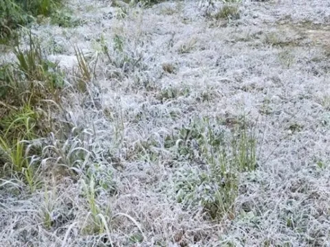 Nhiệt độ xuống dưới 0 độ C, băng giá xuất hiện ở miền núi Nghệ An