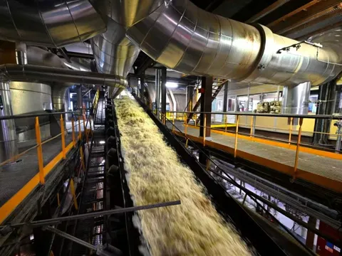 Một ngành ở châu Âu gặp khủng hoảng nghiêm trọng: Càng làm càng lỗ, giá chạm đáy, biên lợi nhuận rơi xuống âm