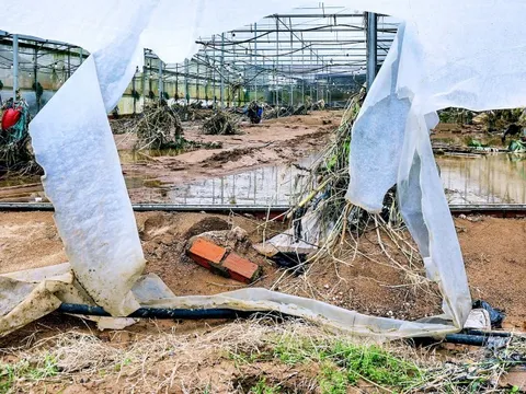 Xót xa hình ảnh vùng rau lớn nhất Lâm Đồng tan hoang sau lũ dữ